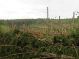 2022-05-20 - Tornado beim Sturmtief Emmelinde Solling - Steinlade bis Gehren (54)